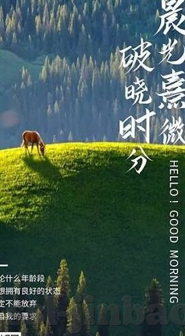澳门赌场9602947扣裙-澳门赌场9602947扣裙，一个数字背后的故事