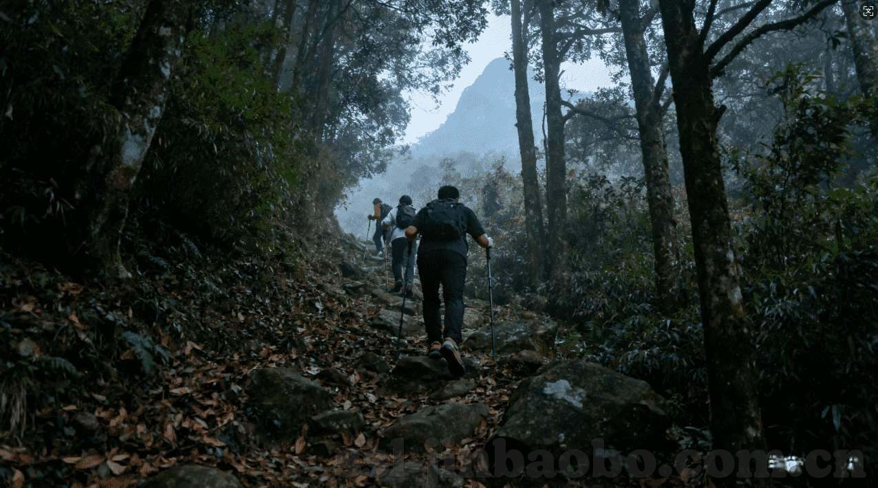 永利集团304544-永利集团304544的稳健前行与未来发展路径